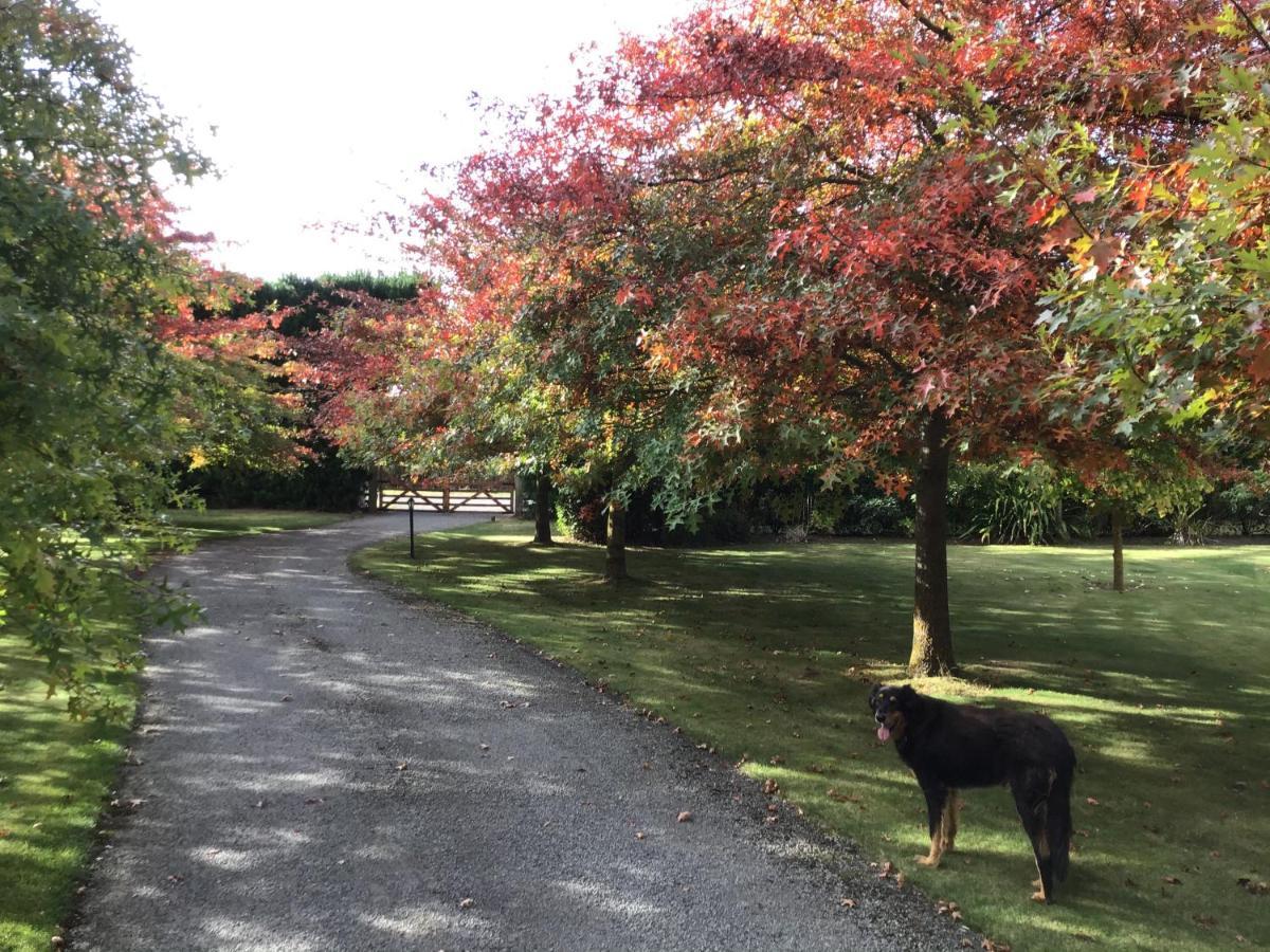 Chester Oaks B&B West Melton Buitenkant foto